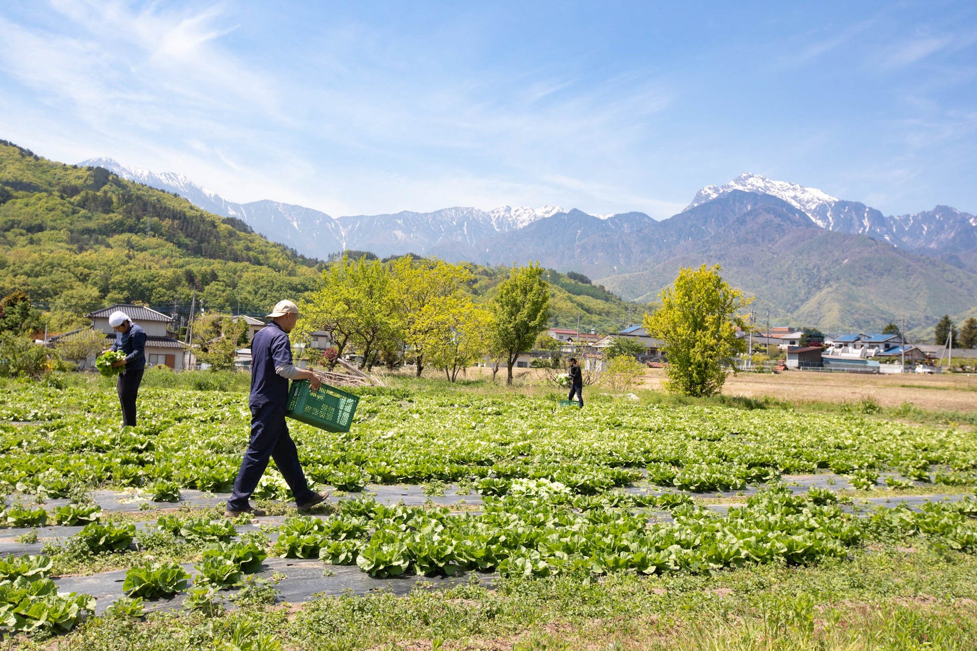 Sticker Michi no Eki Kobuchisawa